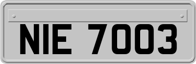 NIE7003