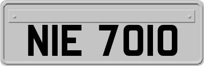 NIE7010