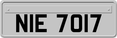 NIE7017