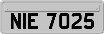 NIE7025