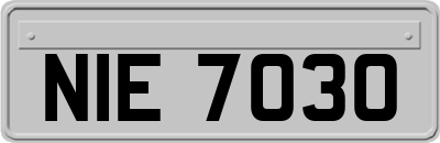 NIE7030