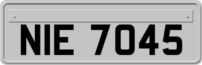 NIE7045