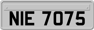 NIE7075