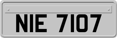 NIE7107