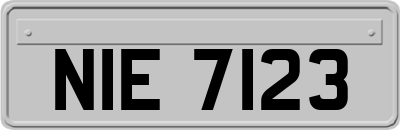 NIE7123