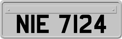 NIE7124