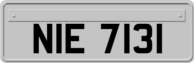 NIE7131