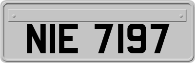 NIE7197