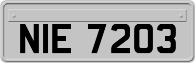 NIE7203