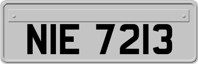 NIE7213
