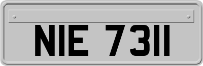NIE7311