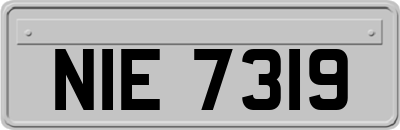 NIE7319