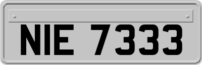 NIE7333