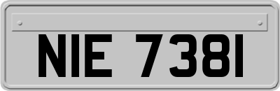 NIE7381