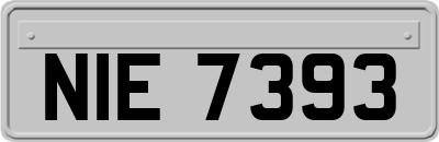 NIE7393