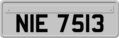 NIE7513