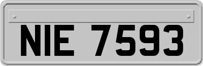 NIE7593