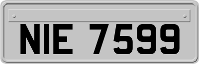 NIE7599