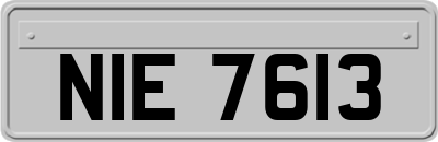 NIE7613