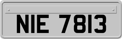 NIE7813