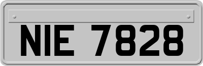 NIE7828