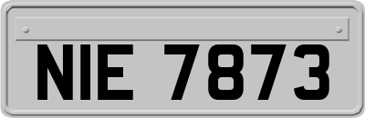 NIE7873