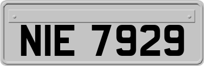 NIE7929