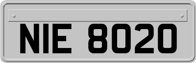 NIE8020