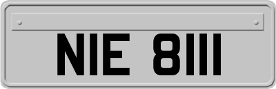 NIE8111