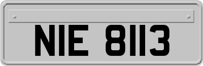 NIE8113