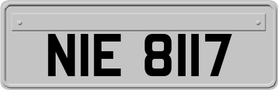 NIE8117