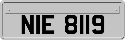 NIE8119
