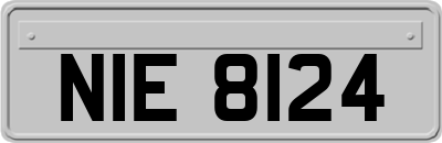 NIE8124