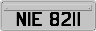 NIE8211