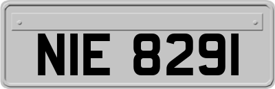 NIE8291