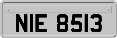 NIE8513