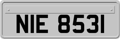 NIE8531
