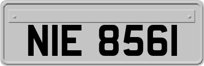 NIE8561