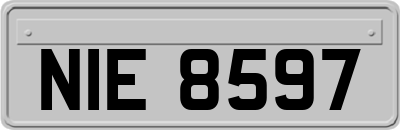 NIE8597