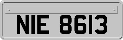 NIE8613