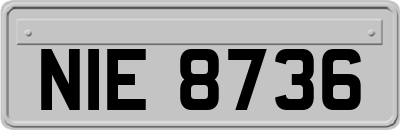 NIE8736