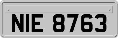 NIE8763