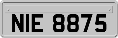 NIE8875