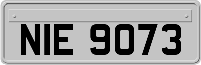 NIE9073