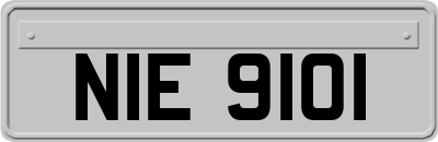 NIE9101