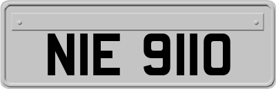 NIE9110