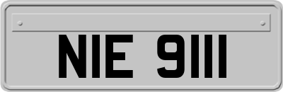 NIE9111