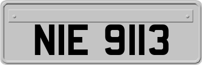 NIE9113