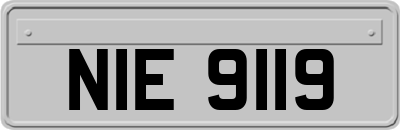 NIE9119