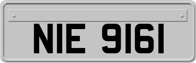 NIE9161